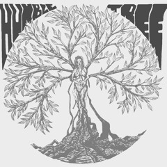 Pierre LR / HUMBLE TREE