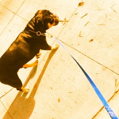 abdulrahman_alsultan