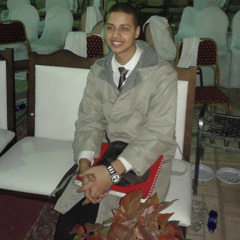 hossam alarnaouty