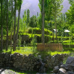 Vital Signs - Samjhana