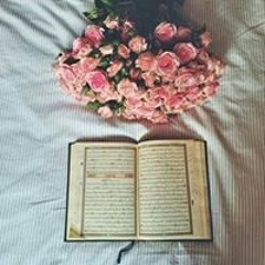 Mai Hamdy