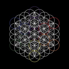 New Money (FOR SALE)