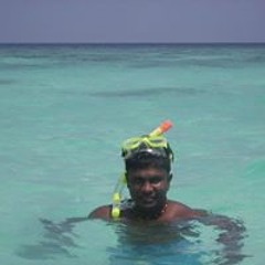 sudu araliyamala