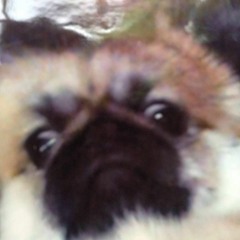 xkiit