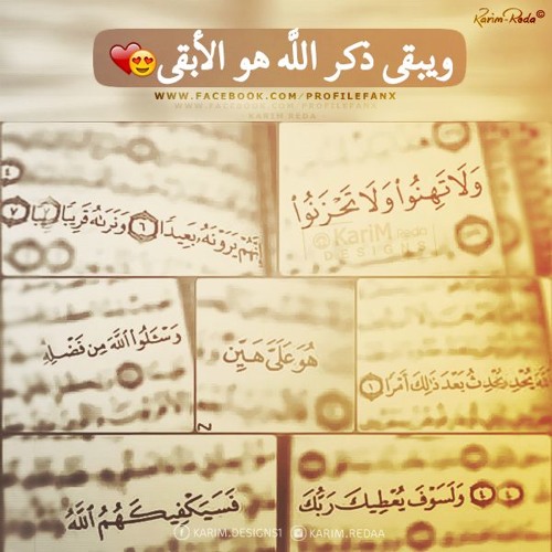 حمادة هلال دموع