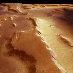 Matriculated Splines