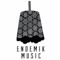 Endemik Music