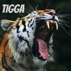 Tigga Music