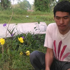 Jumiando P M Sihotang