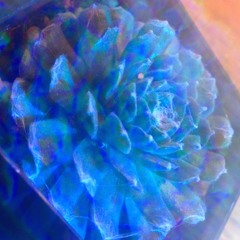 Riches of Man (Official)