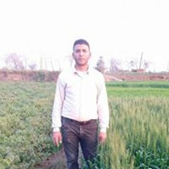 رضا السيد