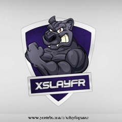 CSGO “xSlayFR” Player