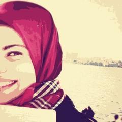 Safa M. Nasab