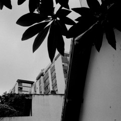 Rhythm Of The Cool Breeze