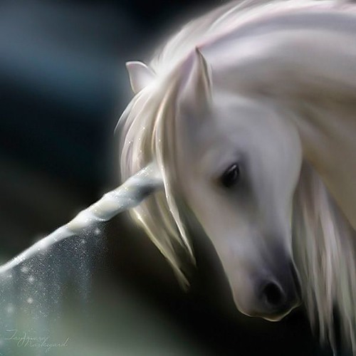 Indigo_Horse’s avatar