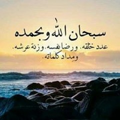 محمد محمود بدر