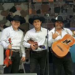 Nahuales-trio huasteco