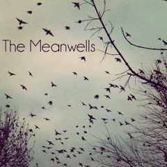 The Meanwells