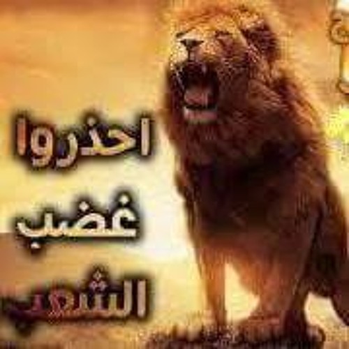 Assdalden Bin Soliman’s avatar