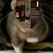 Ratskank