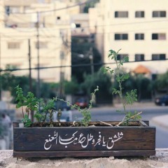 esraahendawy