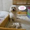annaree27