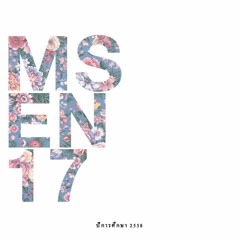 MSEN 17