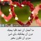 Doaa Said Refai