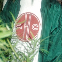 ALMOST HOLDEN COLLECTIVE