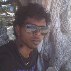 Mode Sany