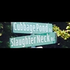 S-dot over Everything