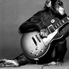 Knox Music Central
