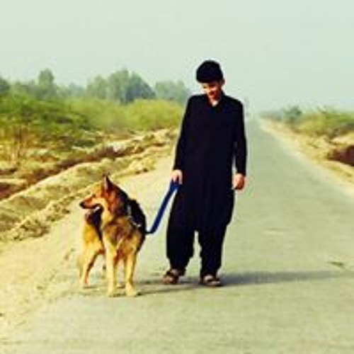 Israr Baloch’s avatar