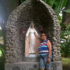 Catana Maingot Punnett