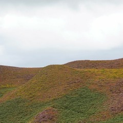 Gabalabagooweeextract