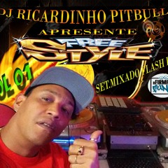 DJ RICARDINHO PIT BULL