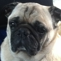 somthing somthing...