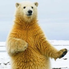 The Dancing Bear
