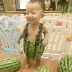 Fruity Freedom