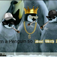 penguin kid