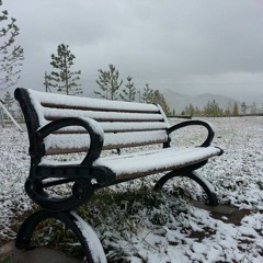 Bolderdene Narankhuu