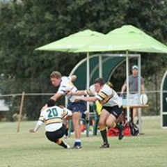 Marchelle Engelbrecht