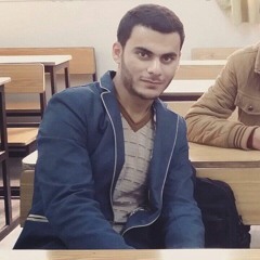 فوق النخل