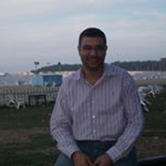 Mohamed Abd Allateef