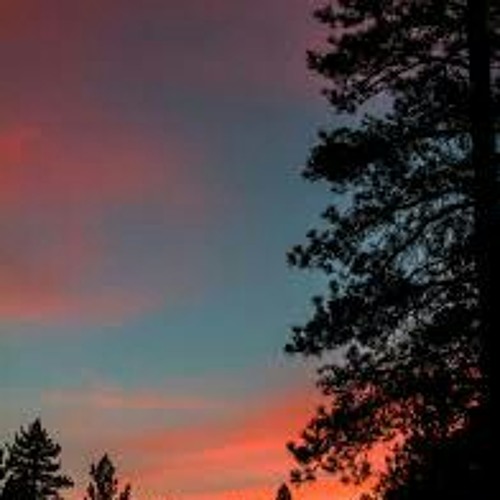 anything and everything