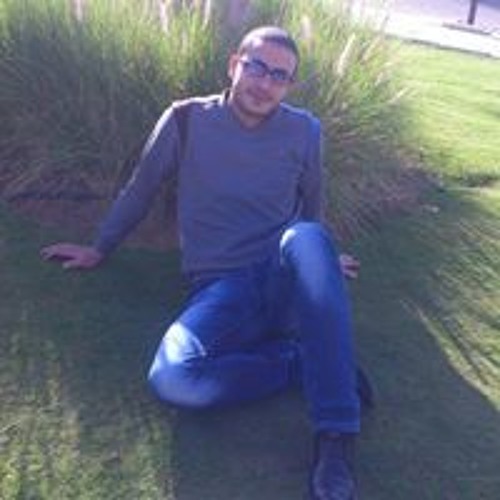 Amr Elsoltan’s avatar