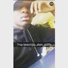 p_alain_stillfly