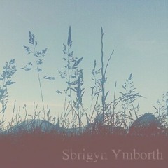 Sbrigyn Ymborth