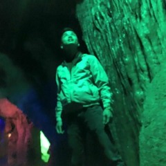 Tùng Duy