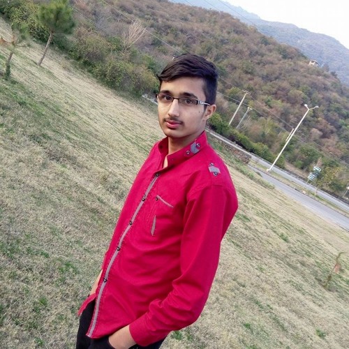 Usama chaudhry’s avatar